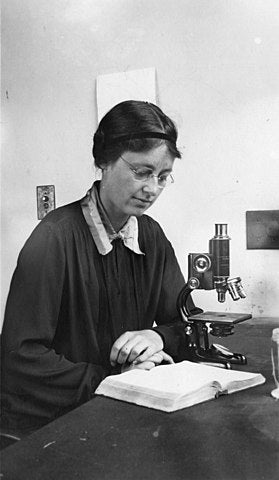 Kathleen Mary Drew-Baker (1901–1957)