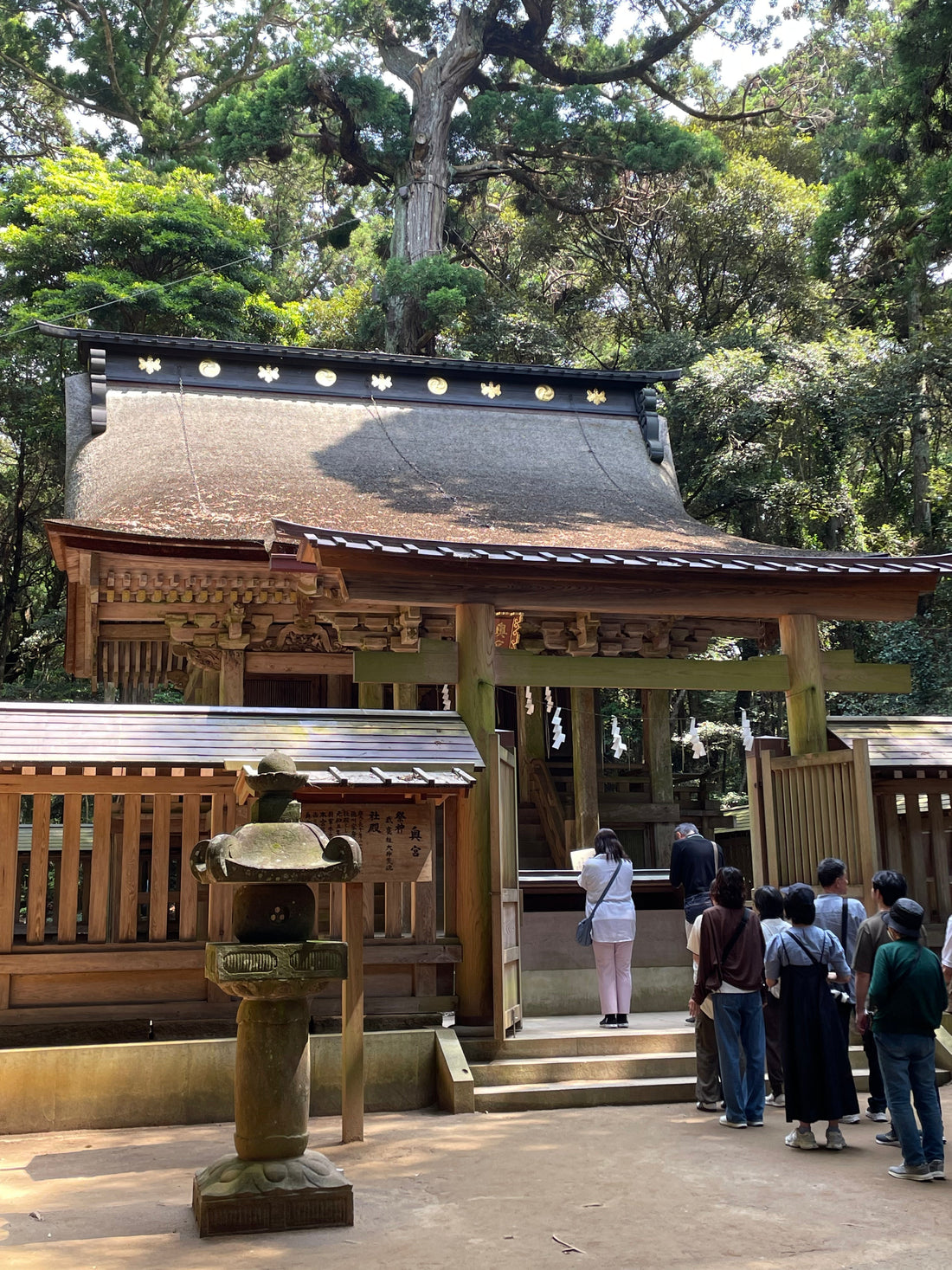 Understanding Japanese Culture: Shrines and Temples – What's the Difference?